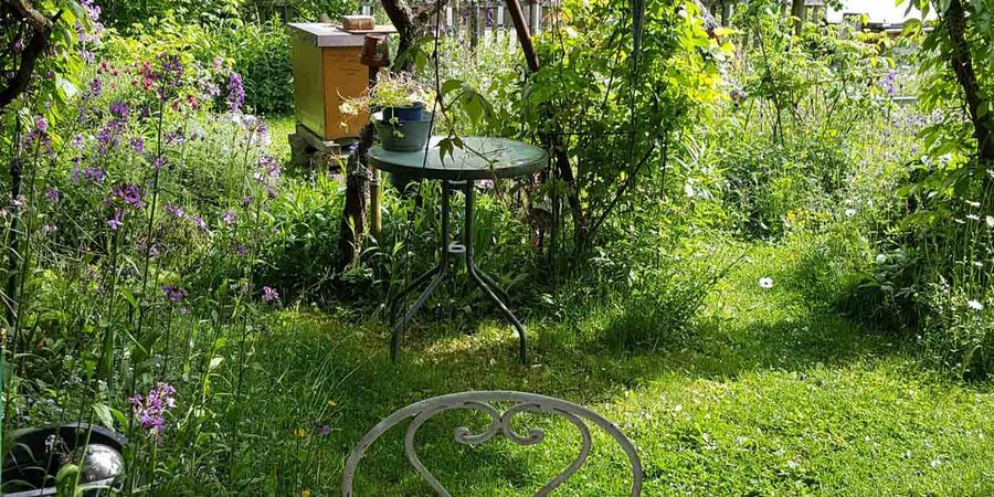 Bienenfreundliche Pflanzen im Garten – MKR